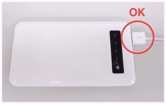 モバイルバッテリー+ microUSBケーブル（蓄電用コード）【あまりんと紅葉】＊受注製作＊ 6枚目の画像
