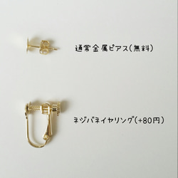 2way べっ甲×GOLDRING 5枚目の画像