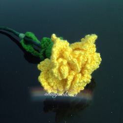立体毛系の花   カーネーシヨソ 1枚目の画像