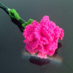 立体毛系の花   カーネーシヨソ 2枚目の画像