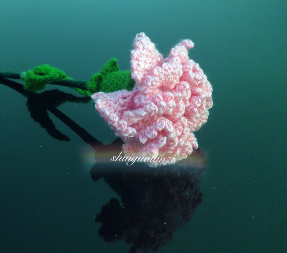 立体毛系の花   カーネーシヨソ 3枚目の画像