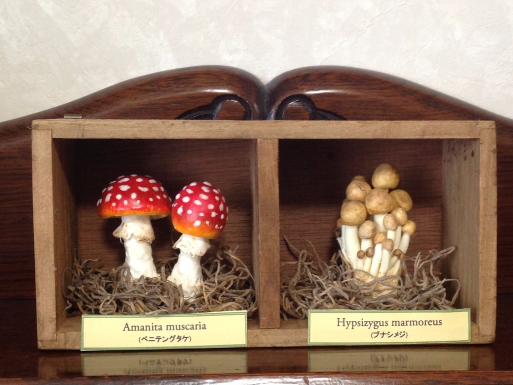 アンティーク調、壁掛け キノコ アンティーク調、壁掛け キノコ