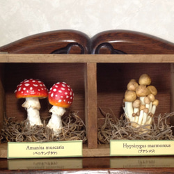 0_e3ade2512f7aa45956c7062690d1