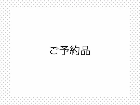 ご予約品 1枚目の画像