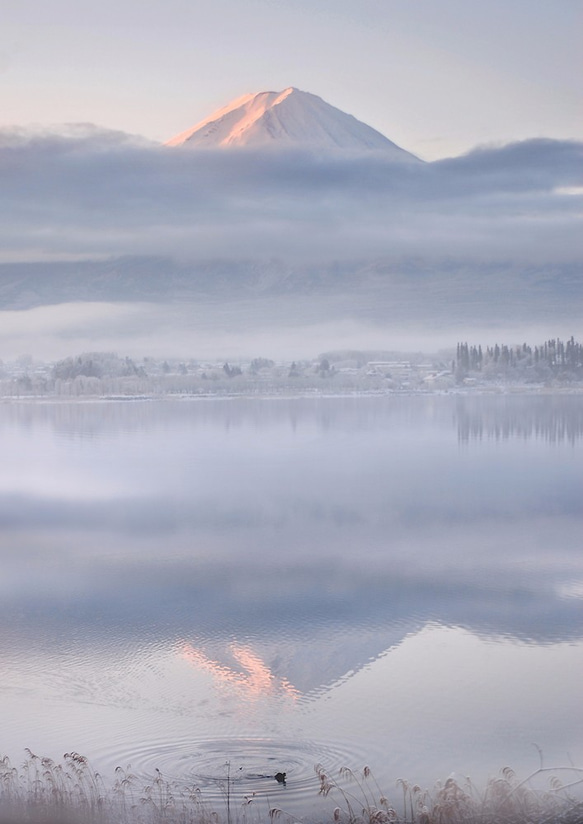 富士山-Ⅱ　写真画（写画）　ジグレープリント　297mm × 420mm 1枚目の画像