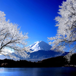 霧氷と富士　写真画（写画）　ジーグレープリント　297mm × 420mm 1枚目の画像