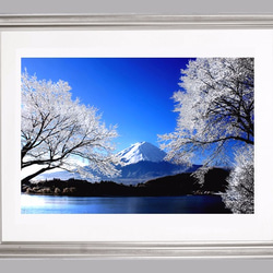 霧氷と富士　写真画（写画）　ジーグレープリント　297mm × 420mm 2枚目の画像