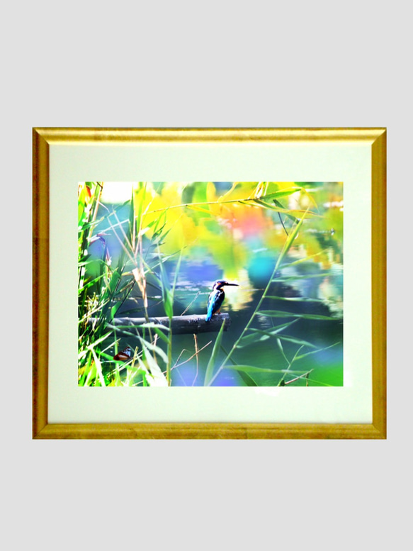 カワセミの里　写真画（写画）　ジーグレープリント　210mm × 297mm 2枚目の画像