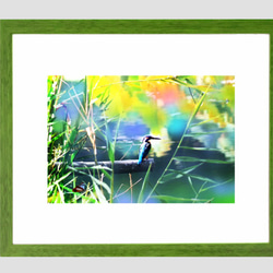 カワセミの里　写真画（写画）　ジーグレープリント　210mm × 297mm 3枚目の画像