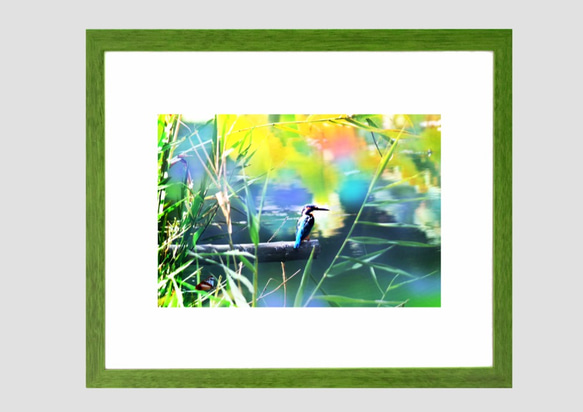 カワセミの里　写真画（写画）　ジーグレープリント　210mm × 297mm 3枚目の画像