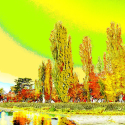 黄葉の街　サイズ297mm × 420mm（作品のみ） 1枚目の画像
