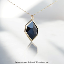 【Geo】14KGF Long Necklace,-Black Diamond- 1枚目の画像