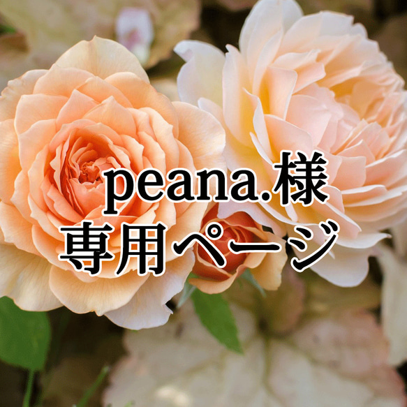 peana.様オーダー専用ページ 1枚目の画像