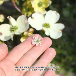 【 糸のbouquet 】Dogwood in the Jasper's garden　ハナミズキ・アイボリー×ゴールド 9枚目の画像