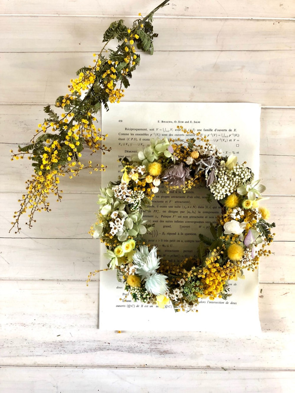 ミモザリースju