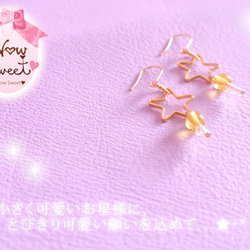 petit star pierce* 2枚目の画像