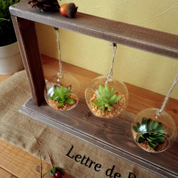 【terrarium】ガラスのハンギングプランター付/木製ディスプレイハンガー 多肉植物 2枚目の画像