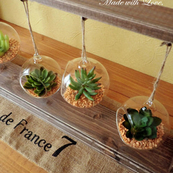 【terrarium】ガラスのハンギングプランター付/木製ディスプレイハンガー 多肉植物 3枚目の画像