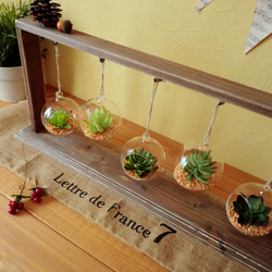 【terrarium】ガラスのハンギングプランター付/木製ディスプレイハンガー 多肉植物 4枚目の画像
