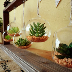 【terrarium】ガラスのハンギングプランター付/木製ディスプレイハンガー 多肉植物 5枚目の画像