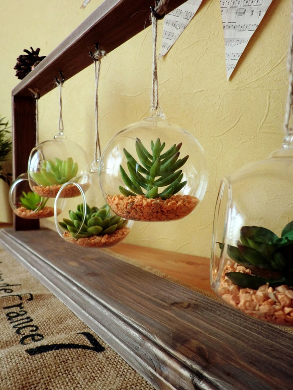 【terrarium】ガラスのハンギングプランター付/木製ディスプレイハンガー 多肉植物 5枚目の画像