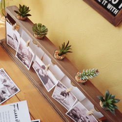 【ミニプランター付き木製フォトスタンド】クリップと植物付き♪ 5枚目の画像