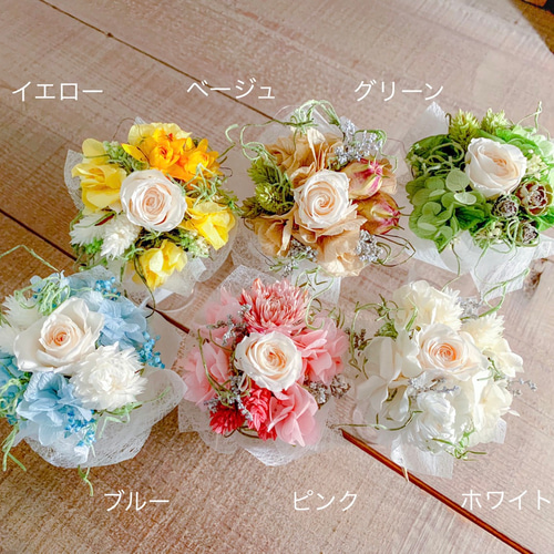 プチブーケ] カラー6種/プリザーブドフラワー プリザーブドフラワー