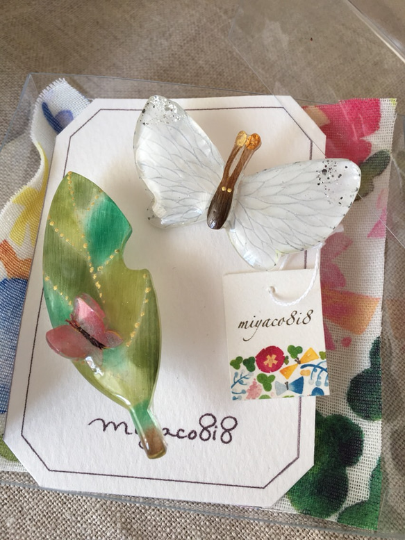 【限定】植物と蝶のギフトボックス 2枚目の画像