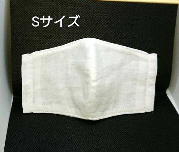 ★自粛生活応援セール★白マスク  フィルターポケット付き  ２枚組 2枚目の画像