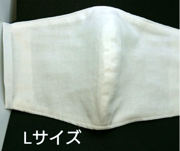 ★自粛生活応援セール★白マスク  フィルターポケット付き  ２枚組 4枚目の画像