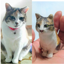 ★世界にひとつ★あなたの愛猫のフィギュアをつくります★ 3枚目の画像