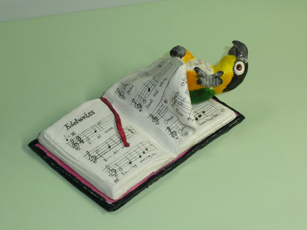 楽譜にごろーん。ズグロシロハラインコ