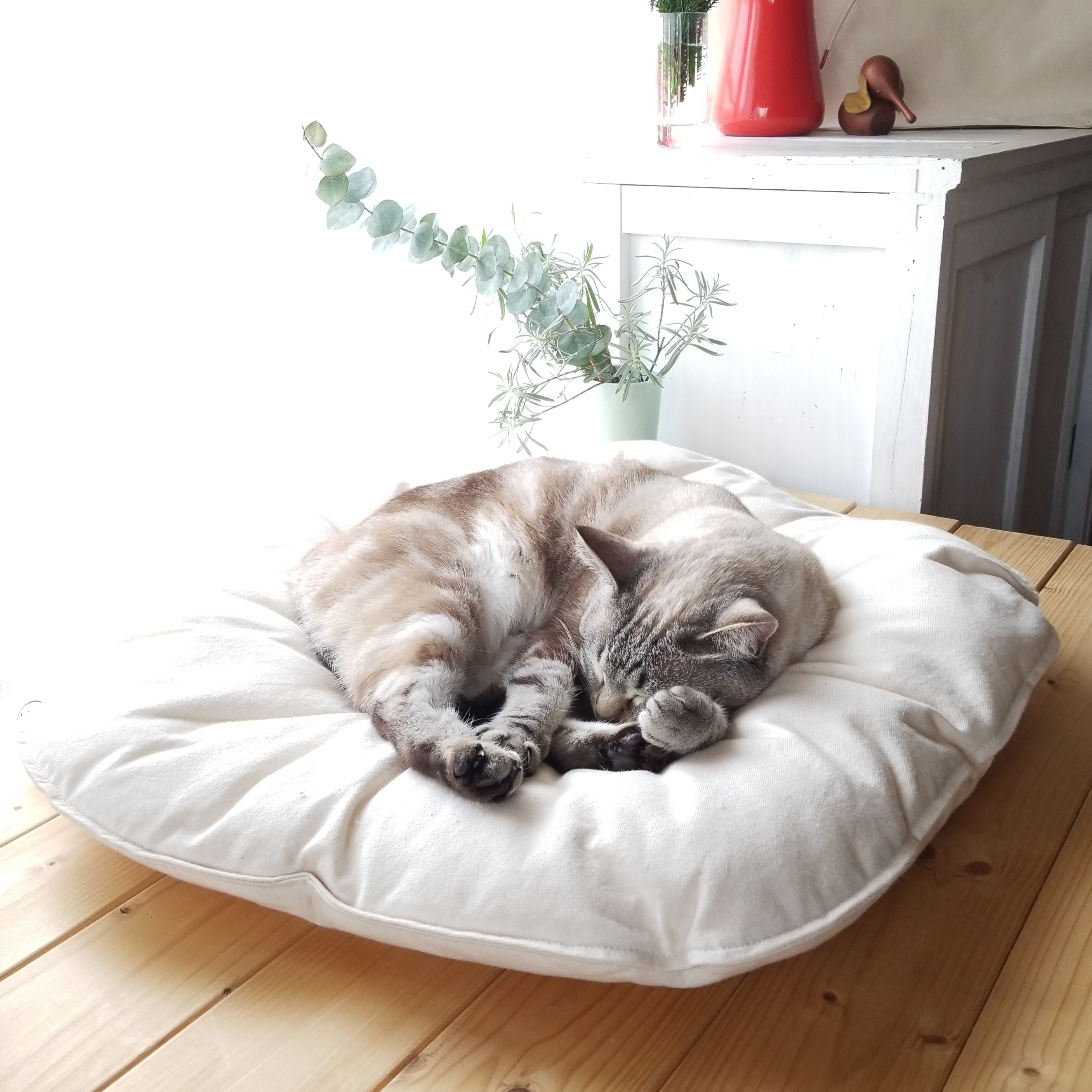 ペットのぐっすりベッド　キナリ