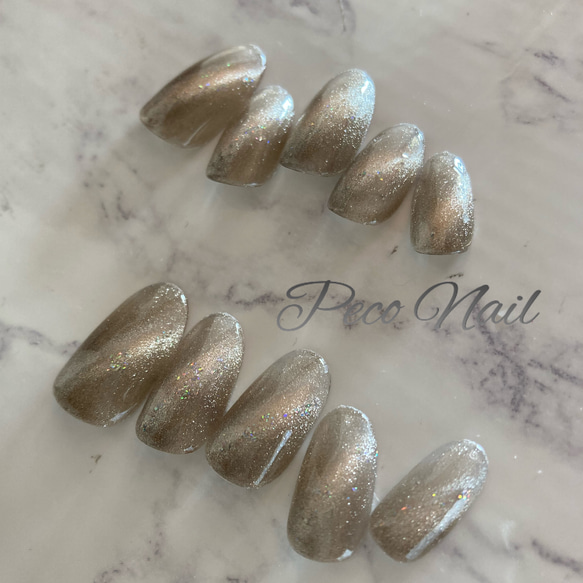 シャンパンゴールド×マグネット＊ネイルチップ ネイルチップ（つけ爪
