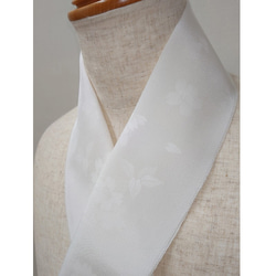半領“穗香”櫻花在白色背景上塗成白色 第2張的照片