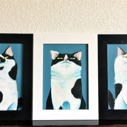 しらんふり(白黒ネコ、左) 2枚目の画像