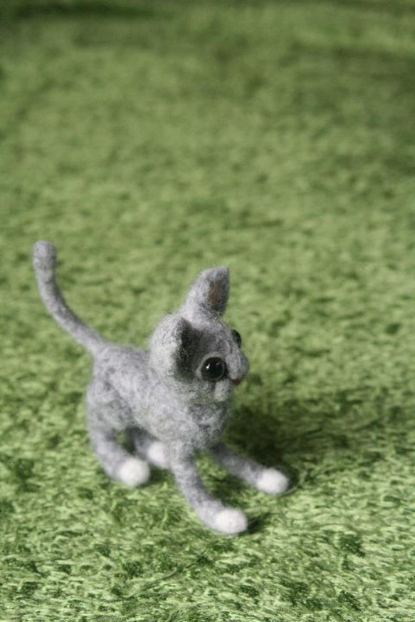 羊毛の灰色猫 2枚目の画像
