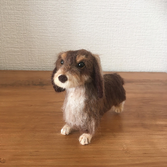 [写真から制作]羊毛ダックスフンド あなたのおうちの愛犬ドール ダックス オーダーメイド 3枚目の画像