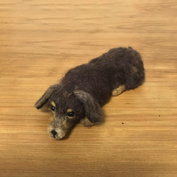 [写真から制作]羊毛ダックスフンド あなたのおうちの愛犬ドール ダックス オーダーメイド 8枚目の画像