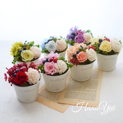 母の日】ウッドショッパーズ～sweet～ プリザーブドフラワー 花結 通販