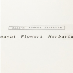 【母の日・ギフト】ハーバリウム～春色·桜花,桃花～ 5枚目の画像