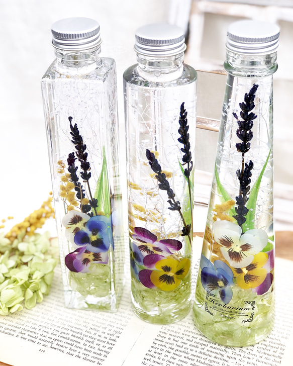 ハーバリウム～ビオラ～ ハーバリウム・植物標本 花結 通販｜Creema 