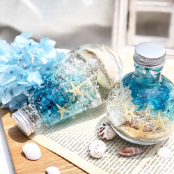 琉球*海のたね　海花⭐︎ マリンフラワー　ハーバリウム dd18d12f60f5a946fca642e0f6e20a