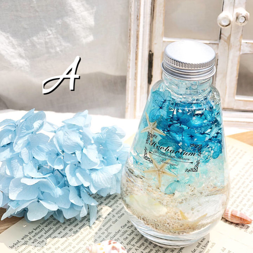 ハーバリウム～海～ ハーバリウム・植物標本 花結 通販 7517015