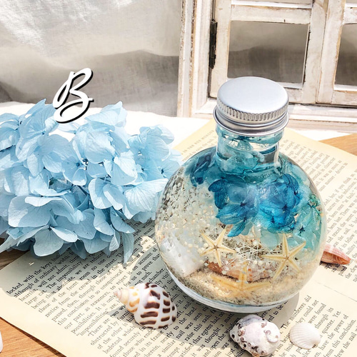 ハーバリウム～海～ ハーバリウム・植物標本 花結 通販｜Creema  