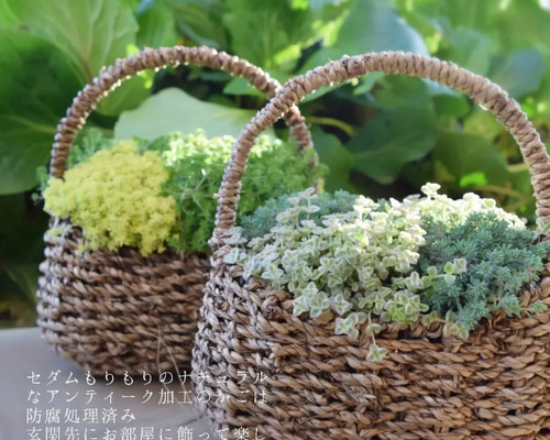 1_2d68e80a9dcc17f2e34f2623472c