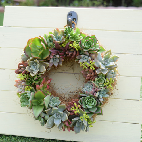 春の新生活に癒しのリース】ふわふわヤシファイバーにぎゅーぎゅーに