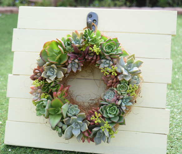 Further☆作品♡ 春待ち早春フラワーリース♡ 雛祭リース♡ひな祭り♡ 2way】hina wreath 【ひなまつり】ひな祭り リース 桃の節句