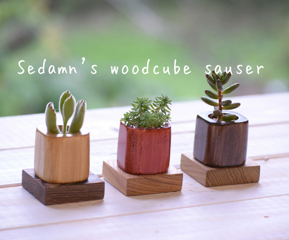 woodcube Sauser（2枚セット価格） 2枚目の画像