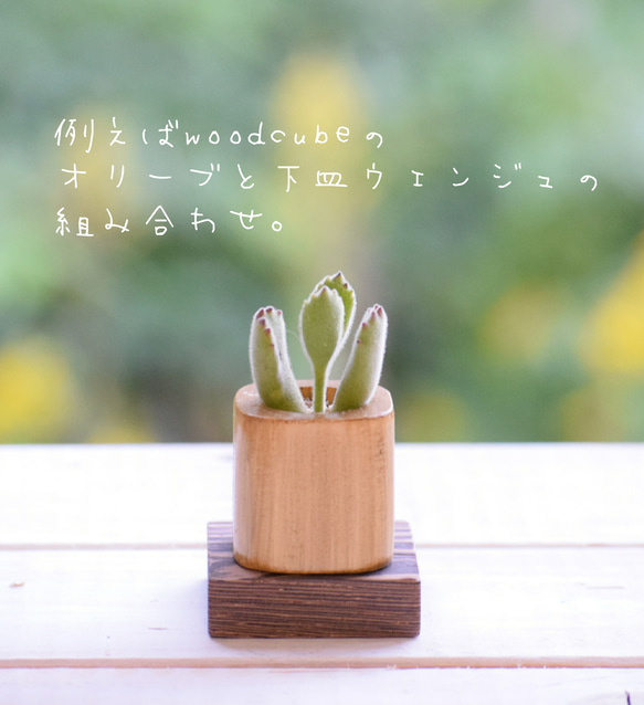 woodcube Sauser（2枚セット価格） 4枚目の画像